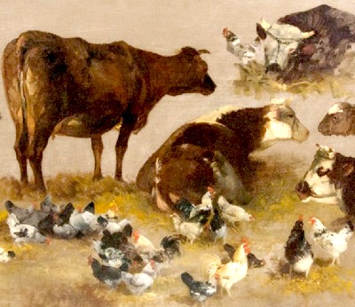 Study of Cows and Chickens